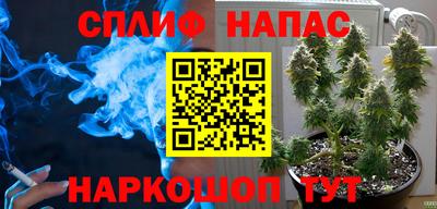 сатива Изобильный