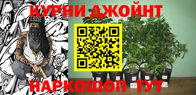 сатива Изобильный