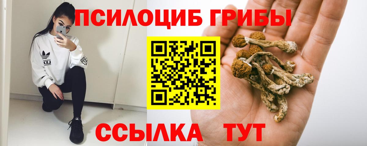 Галлюциногенные грибы MAGIC MUSHROOMS Щёкино